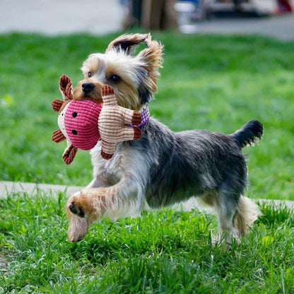 7 Pack Small Dog Toys, Puppy Teething Toys, Durable Ropes Chew Toys, Cute Calf Squeaky Dog Toys, Non-Toxic and Safe